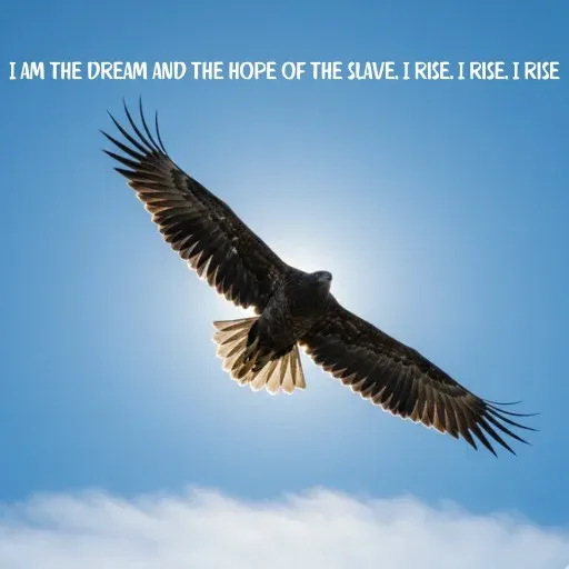 Maya-Angelou-Motivational-Quotes